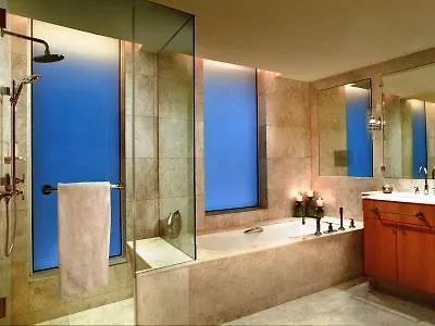 Ritz Carlton Residences Difc Downtown Dubai United Arab Emirates